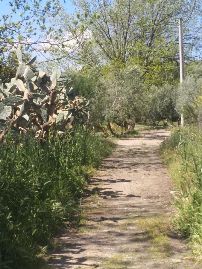 مبيت وإفطار أرذاليس El Patio Andalu المظهر الخارجي الصورة