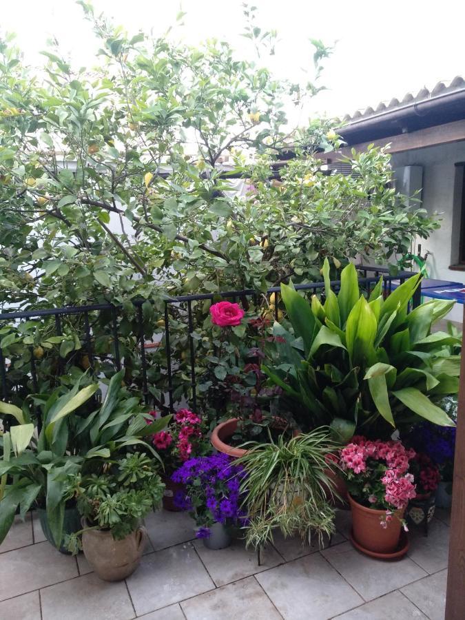 مبيت وإفطار أرذاليس El Patio Andalu المظهر الخارجي الصورة