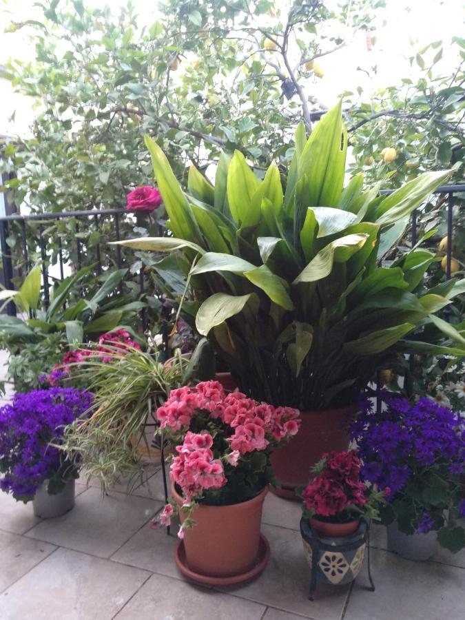 مبيت وإفطار أرذاليس El Patio Andalu المظهر الخارجي الصورة